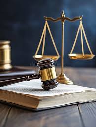 Professional & Legal Services